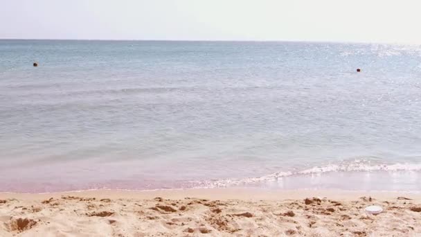 Счастливая Семья Побежит Море — стоковое видео