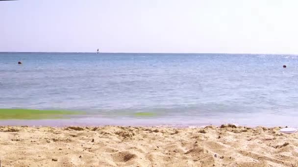 Amigos Felizes Fogem Para Mar Movimento Lento — Vídeo de Stock