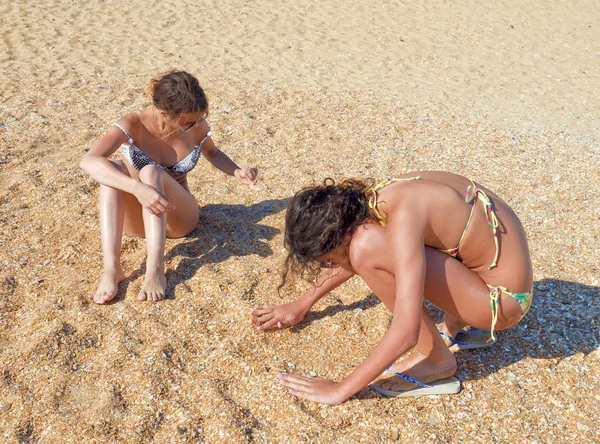 Родина Розважається Пляжі Збираючи Черепашки — стокове фото