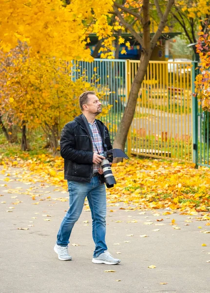 Profi Fotós Képei Őszi Városi Park Világos Sárga Fák — Stock Fotó