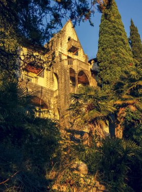 Sukhum, Abhazya - 3 Ocak 2013: Abhazya'da terk edilmiş malikanenin büyümüş kalıntıları. Abhazya'da ormanda terk edilmiş villa