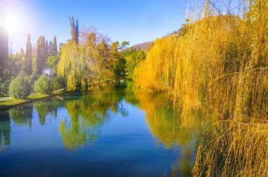 Eski park, Yeni Athos, Abhazya. yeşil gölet suyu. Parkta terk edilmiş gölet, Gagra, Abhazya