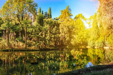 Eski park, Yeni Athos, Abhazya. yeşil gölet suyu. Parkta terk edilmiş gölet, Gagra, Abhazya