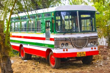 Palmiye ağaçlarının arka planına park edilmiş Hint beyaz otobüsü