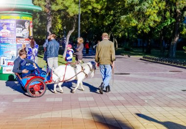 Rostov-on-Don, Rusya-14 Ekim, 2012: bir takımda keçi, Rostov-on-Don Sokağı 'na bağlı bir tekerlekli sandalyede insanları taşır.