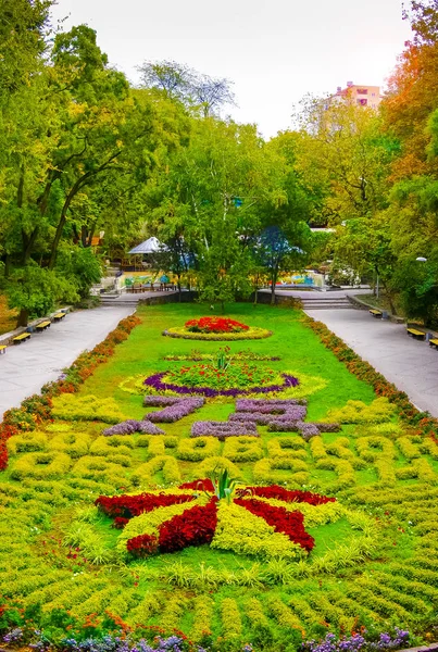 Rostov Don Russland Oktober 2012 Blumengarten Gorki Park Blumenbeete Mit — Stockfoto