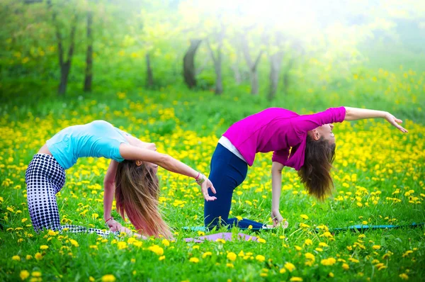 Girls practicing stretching exercises. Beautiful young women doing stretching exercise on green grass at park. Side view.Group athletes in nature.