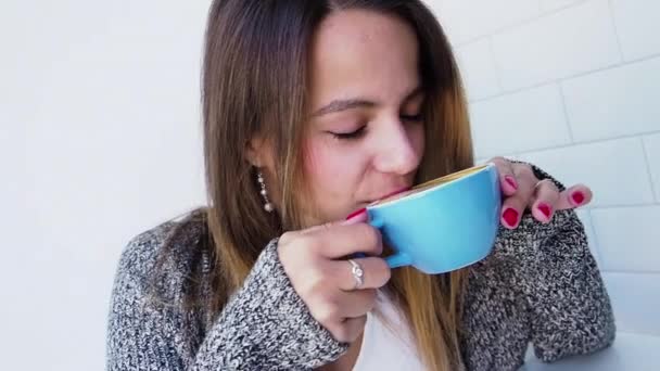 Kahve Molası Sırasında Kafede Güzellik Gülümseyen Kız Yavaş Çekim — Stok video