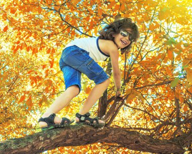 Bir sonbahar ağacı dalı küçük çocuk kameraya bakıyor