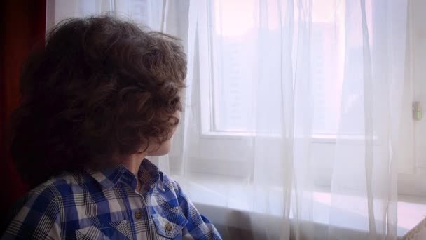 Side View Cute Little Curly Boy Leaning Window Sill Comfortable — Stock Video