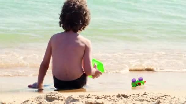 Kleine Jongen Spelen Met Zand Het Strand Overdag — Stockvideo