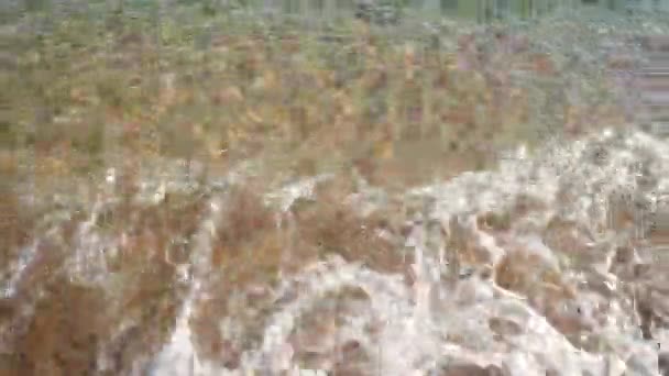 Padre Hijo Corriendo Agua Mar Durante Día — Vídeos de Stock