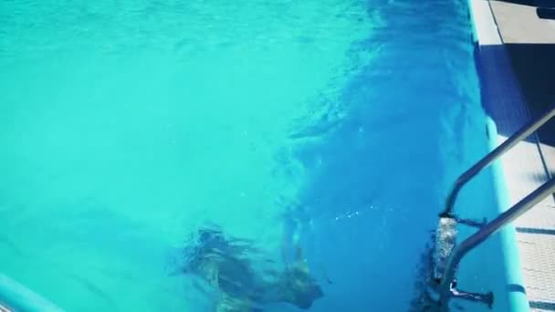 漂亮女孩白天在游泳池里潜水 — 图库视频影像