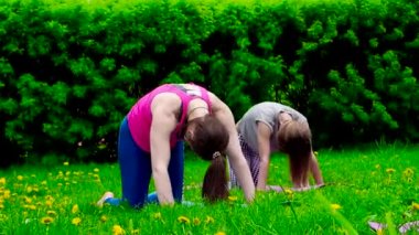 Parktaki yeşil çayır üzerinde egzersiz yapan genç kadınların görüntüleri.