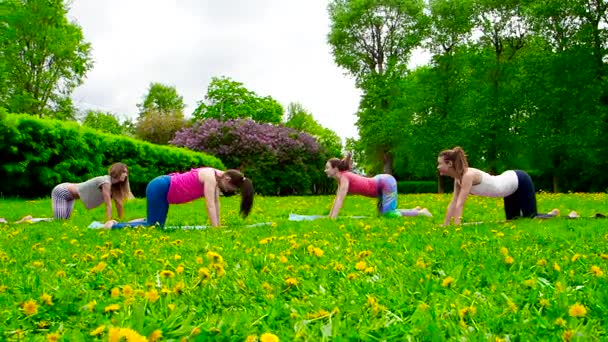 Jonge Vrouwen Oefenen Buiten Het Gras — Stockvideo