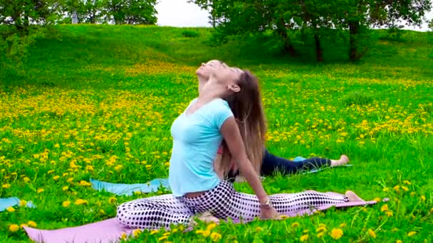 Lächelnde Brünette Frau Dehnt Sich Freien Auf Dem Gras — Stockvideo