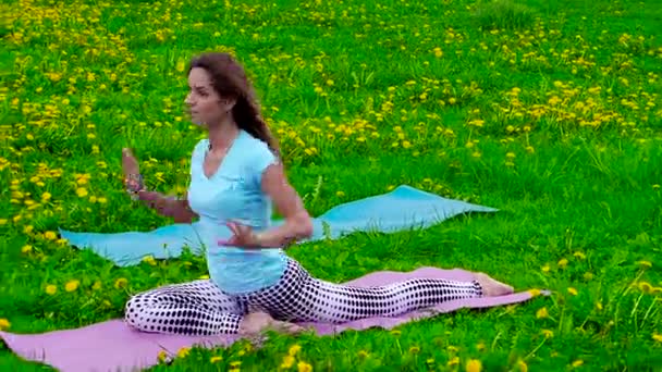 Glimlachend Brunette Vrouw Stretching Buiten Het Gras — Stockvideo