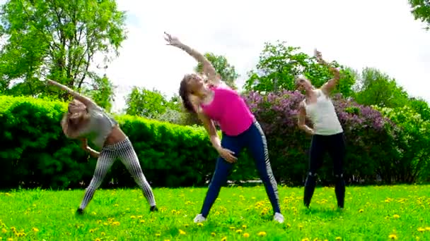 Chicas Jóvenes Haciendo Ejercicio Aire Libre Hierba — Vídeos de Stock