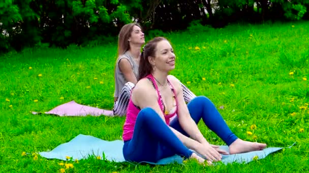Filmagens Jovens Mulheres Fazendo Exercícios Prado Verde Parque — Vídeo de Stock