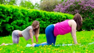Parktaki yeşil çayır üzerinde egzersiz yapan genç kadınların görüntüleri.