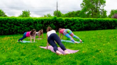 Dışarıda çimlerin üzerinde egzersiz yapan genç kadınlar.
