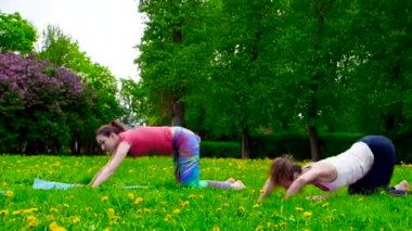 Parktaki yeşil çayır üzerinde egzersiz yapan genç kadınların görüntüleri.