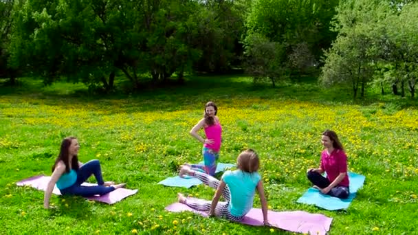 Jeunes Femmes Faisant Exercice Plein Air Sur Herbe — Video