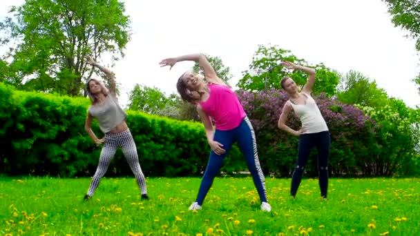 Jeunes Filles Exerçant Plein Air Sur Herbe — Video