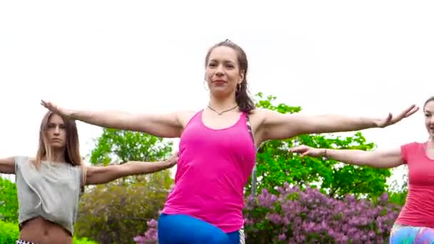 Chicas Haciendo Ejercicio Aire Libre Hierba — Vídeo de stock