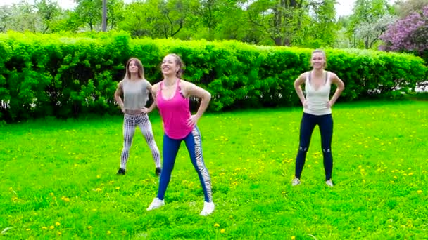 Chicas Jóvenes Haciendo Ejercicio Aire Libre Hierba — Vídeos de Stock