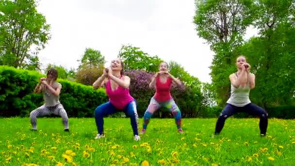 Jonge Vrouwen Oefenen Buiten Het Gras — Stockvideo