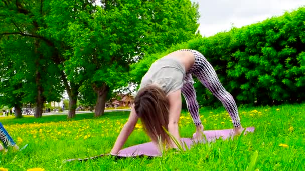 Bilder Unga Kvinnor Som Tränar Grön Äng Parken — Stockvideo