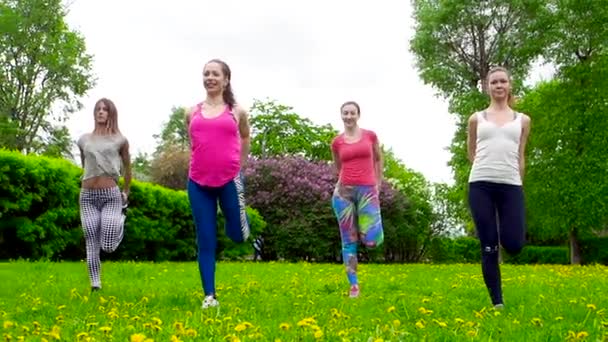 Junge Frauen Beim Training Freien Auf Dem Rasen — Stockvideo
