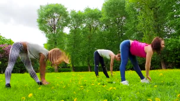 Jonge Meisjes Oefenen Buiten Het Gras — Stockvideo