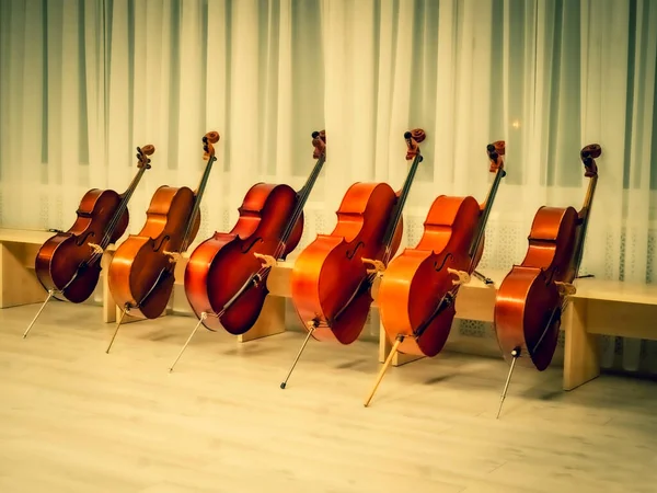 Konserden Önce Konser Salonunda Birçok Çello Çalındı — Stok fotoğraf