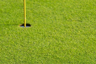  Yeşil çimen, güzel bir golf sahası 