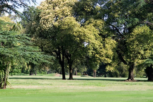 Zelená Tráva Krásné Golfové Hřiště — Stock fotografie