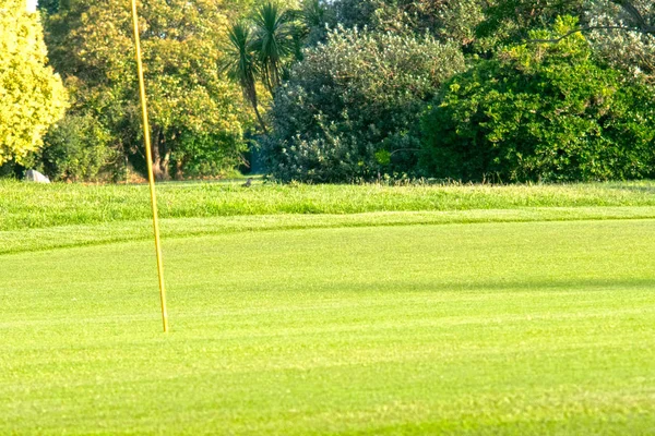 Zelená Tráva Krásné Golfové Hřiště — Stock fotografie