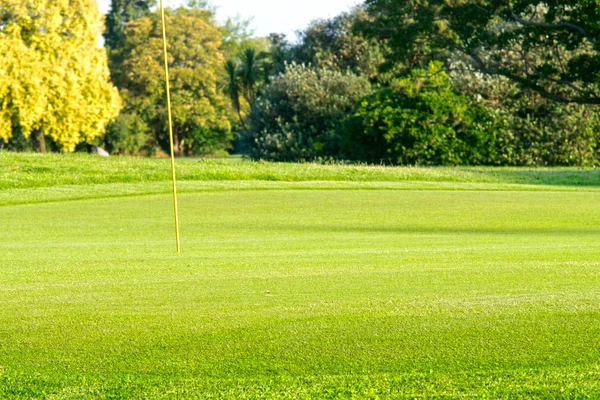 Grönt Gräs Vacker Golfbana — Stockfoto