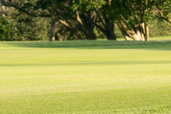 Yeşil Çimen Güzel Bir Golf Sahası — Stok fotoğraf