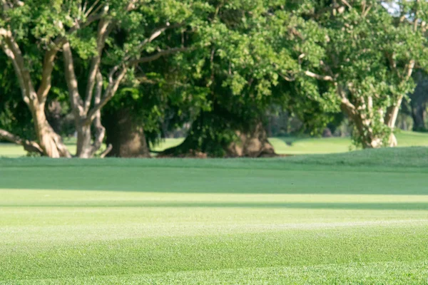 Grönt Gräs Vacker Golfbana — Stockfoto