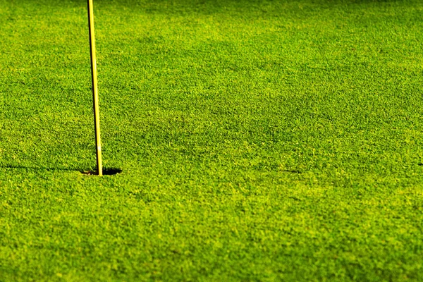 Yeşil Çimen Güzel Bir Golf Sahası — Stok fotoğraf