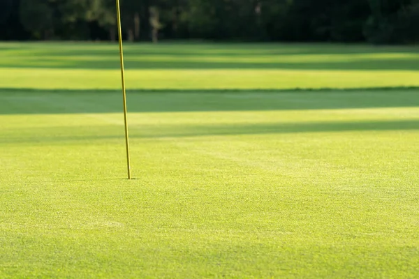 Yeşil Çimen Güzel Bir Golf Sahası — Stok fotoğraf