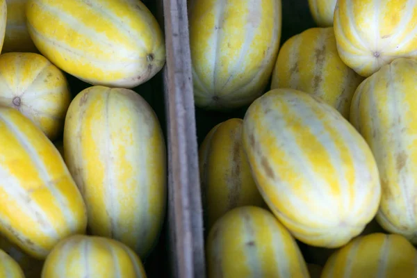 Kotak Emas Manis Melon Untuk Dijual — Stok Foto