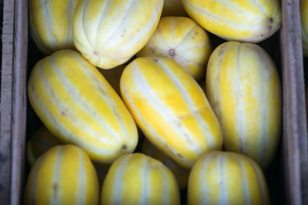 Scatola Melone Dolce Dorato Vendita — Foto Stock