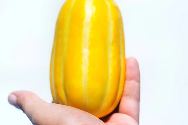 Gouden Zoete Meloen Witte Achtergrond — Stockfoto