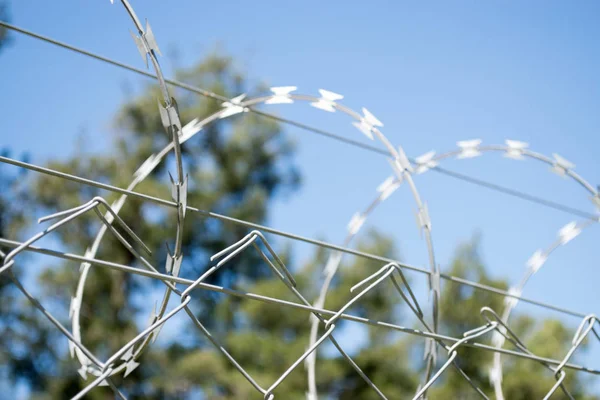 Restricted Area Fence Barbed Wire Stock Image