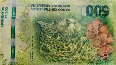 500 Arjantin Peso faturaları ayrıntılı arka plan
