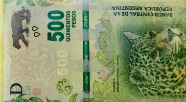 500 Arjantin Peso faturaları ayrıntılı arka plan