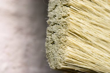 Kırmızı paintbrushe yakın çekim